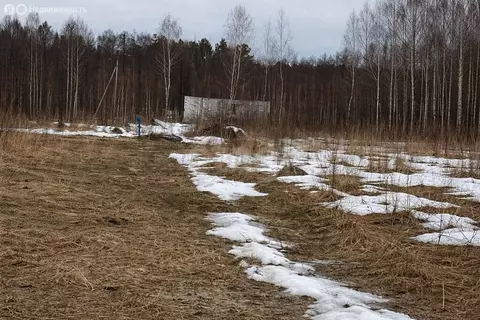 Участок в Брянск, квартал Мамоново Поле (10 м)
