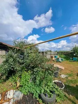 Участок в Саратовская область, Балашовский район, Большемеликское ...