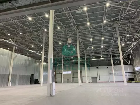Производственное помещение в Москва д. Николо-Хованское, 1031с1 (2250 ...