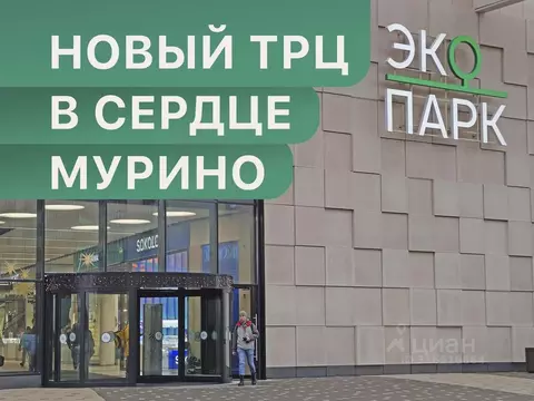 Торговая площадь в Ленинградская область, Мурино Всеволожский район, ...