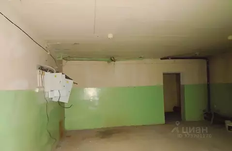 Помещение свободного назначения в Новосибирская область, Новосибирск ...