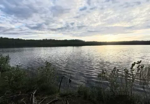 Участок в Ленинградская область, Выборгский район, Каменногорское ...