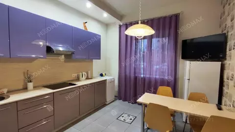 1-к кв. Санкт-Петербург ул. Глухая Зеленина, 2 (48.0 м)