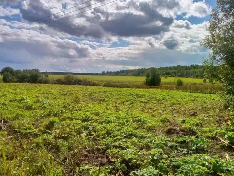 Участок в Ленинградская область, Тосненское городское поселение, д. ...