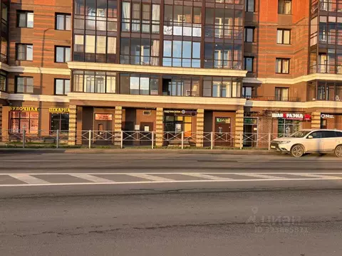 Помещение свободного назначения в Санкт-Петербург ул. Среднерогатская, ...