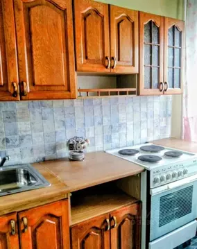 1-к кв. Новосибирская область, Новосибирск ул. Бориса Богаткова, 219 ...