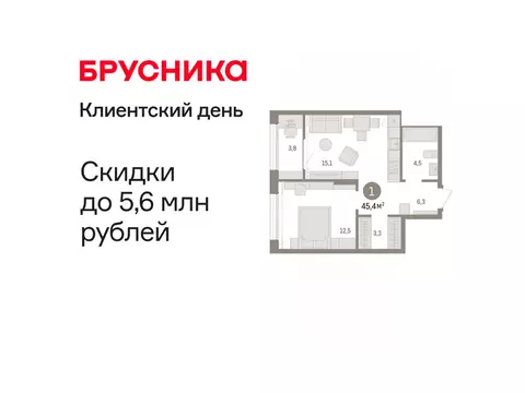 1-комнатная квартира: Тюмень, Краснооктябрьская улица, 4 (45.41 м)