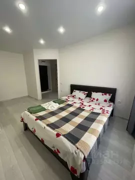 1-к кв. Ставропольский край, Михайловск Шпаковский район, ул. Ишкова, ...