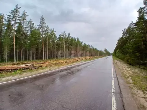 Участок в Ленинградская область, Волховский район, Пашское с/пос, д. ...