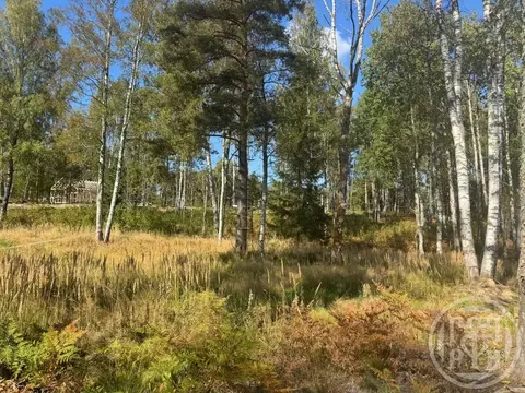 Участок в Ленинградская область, Всеволожский район, Куйвозовское ...