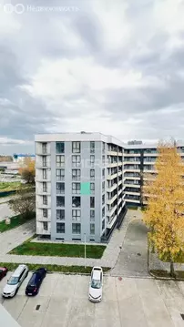 1-комнатная квартира: Светлогорск, Олимпийский бульвар, 2 (43.6 м)