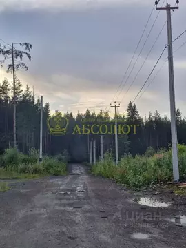 Участок в Свердловская область, Ревда  (10.3 сот.)