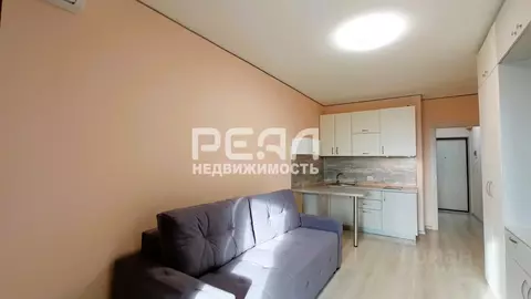 Студия Санкт-Петербург просп. Ветеранов, 173к1 (24.7 м)