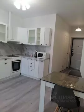 Студия Приморский край, Владивосток Сельская ул., 11 (28.0 м)