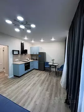 Студия Тюменская область, Тюмень ул. Фармана Салманова, 15 (27.0 м)