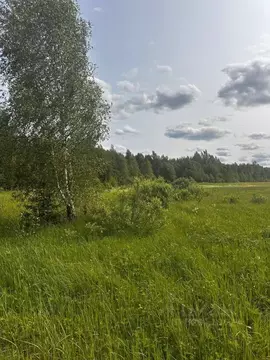 Участок в Московская область, Клин городской округ, д. Тиликтино  ...