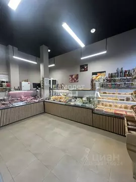 Помещение свободного назначения в Московская область, Ленинский ...
