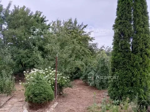 Дом в Волгоградская область, Волгоград Ивушка СНТ,  (25 м)