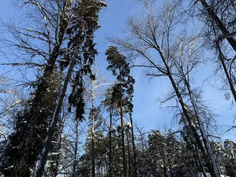Участок в Московская область, Одинцовский городской округ, пос. ...