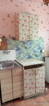 2-к кв. Новосибирская область, Новосибирск Ипподромская ул., 49 (44.0 ...