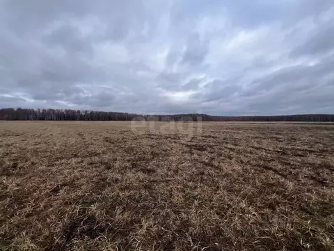 Участок в Московская область, Ступино городской округ, д. Заворыкино ...