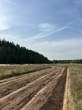 Участок в Московская область, Раменский муниципальный округ, Опушкино ...