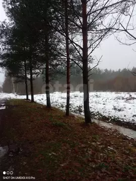 Участок в Ленинградская область, Тосно г. Тосненский район, Тосненское ...