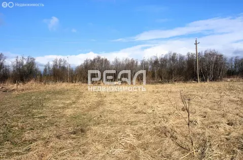 Участок в деревня Шпаньково, Гатчинское шоссе (40 м)
