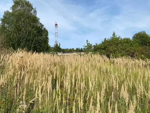 Участок в Ярославская область, Переславль-Залесский ул. Свободы, 103 ...