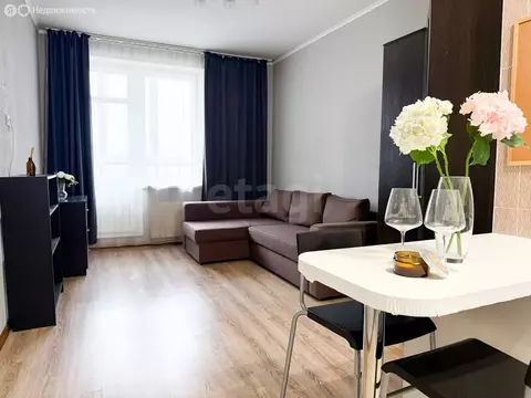 Квартира-студия: Санкт-Петербург, улица Орджоникидзе, 52 (25.8 м)