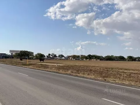 Участок в Крым, Сакский район, с. Молочное  (6.14 сот.)