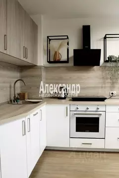 2-к кв. Санкт-Петербург ул. Дыбенко, 5к1 (50.0 м)