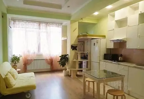 Студия Краснодарский край, Сочи Яна Фабрициуса мкр, ул. Метелева, 12 ...