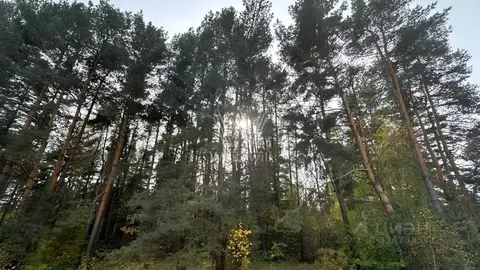 Участок в Московская область, Одинцовский городской округ, с. ...