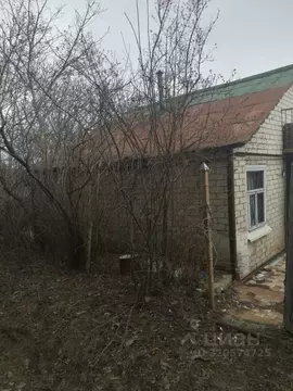 Дом в Белгородская область, Яковлевский муниципальный округ, Сосновая ...