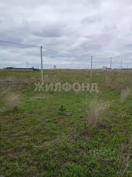 Участок в Новосибирская область, Колывань рп ул. Бунина (10.0 сот.)