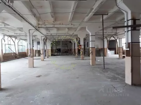 Производственное помещение в Краснодарский край, Краснодар Черемушки ...