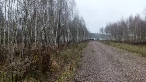 Участок в Московская область, Чехов муниципальный округ, д. ...