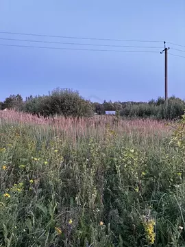 Участок в Калужская область, Ферзиковский район, Ястребовка с/пос, д. ...