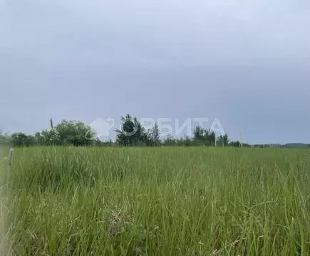 Участок в Тюменская область, Нижнетавдинский муниципальный округ, с. ...