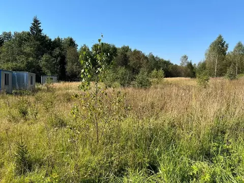 Участок в Московская область, Клин городской округ, Рижские Дачи дп ...