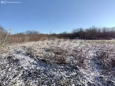 Участок в Тюменский муниципальный округ, посёлок Новотарманский (10 м)