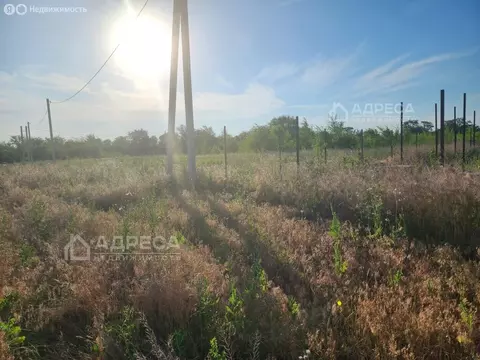 Участок в Азовский район, село Кулешовка (8 м)