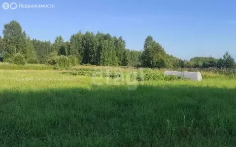 Участок в Ярославский муниципальный округ, СНТ Росток (20 м)