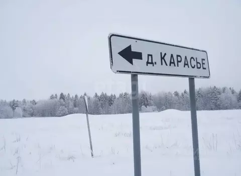 Участок в Пермский край, Пермский муниципальный округ, д. Карасье ул. ...