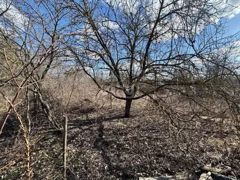 Участок в Липецкая область, Липецк Строитель-3 СНТ, 191 (5.9 сот.)