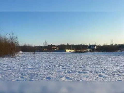 Участок в Московская область, Клин городской округ, д. Дятлово  (7.77 ...