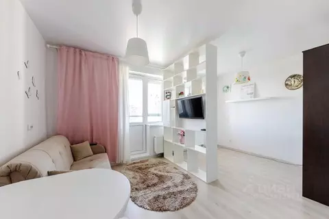 Студия Санкт-Петербург Парашютная ул., 42к2 (26.3 м)