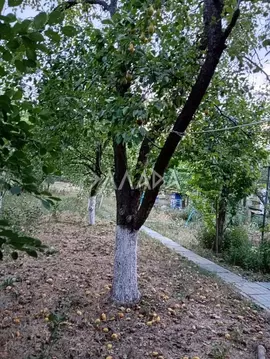 Участок в Ростовская область, Аксайский район, Щепкинское с/пос, ...