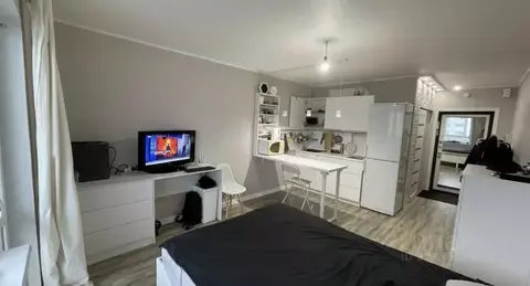 Студия Санкт-Петербург пос. Шушары, ул. Валдайская, 6к2 (24.4 м)